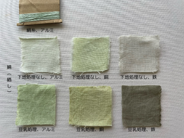 草木染めで簡単に緑色を染める方法 - 草木の魔法